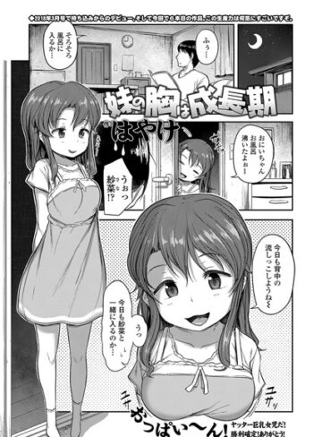 単話❤妹の胸は成長期（単話）[はやけ]評価5.00