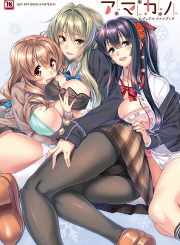 単行本❤アマカノビジュアルファンブック[ピロ水]評価5.00