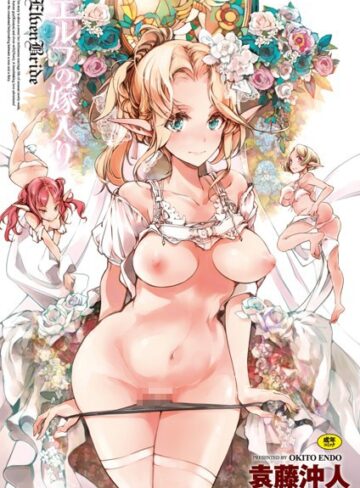 単行本❤エルフの嫁入り[袁藤沖人]評価4.00