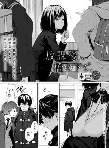 単話❤放課後、橋の下で、（単話）[歯車]評価4.75