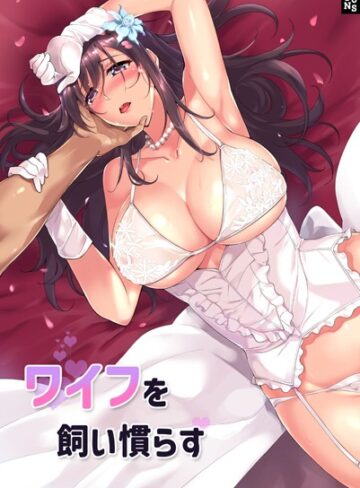 フルカラー❤ワイフを飼い慣らす[JJM]評価4.20